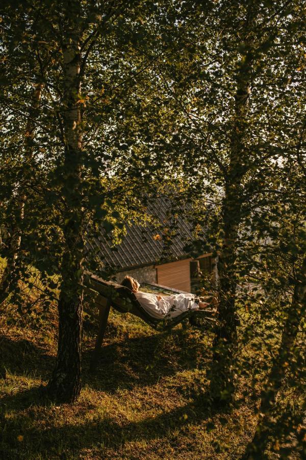 Eco Chalet Astramontana Tolmin Exterior foto